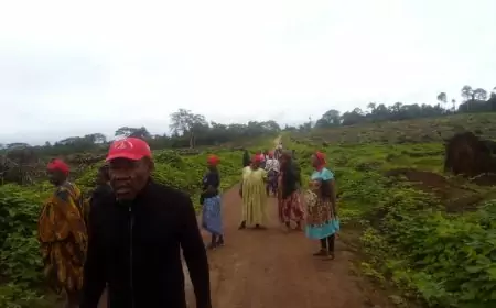 Conflit foncier Socapalm-Apouh : ce que réclament les communautés villageoises