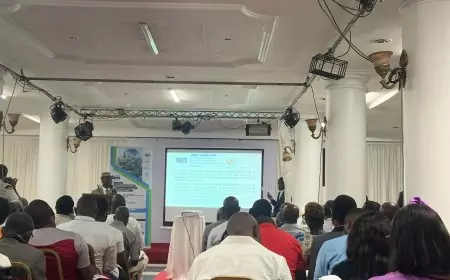 Investissement au Cameroun : l’expansion de Ndollè city aux pme