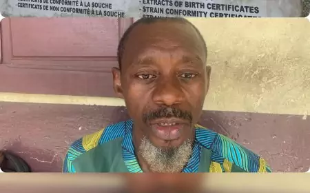 Cameroun/ Droit à une identité : défis et solutions à Bonendalè