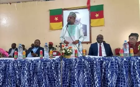 Cameroun > Atelier régional CTD-MINSANTÉ à l'Ouest: Mieux collaborer pour élaborer un budget d'impact afin d'offrir des services de santé de qualité