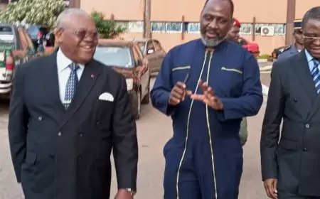 AGRIBUSINESS : TONY OBAM ANNONCE 4 CLUSTERS INDUSTRIELS ET UNE UNITÉ INDUSTRIELLE DE TRANSFORMATION DE LA BANANE-PLANTAIN À L'EST !