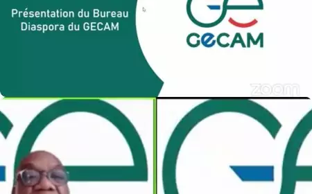 Diaspora camerounaise : le Gecam fait un gros plan d’investissement