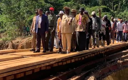 Effondrements de ponts à Massock-Songloulou : Paul Atanga Nji en mission présidentielle
