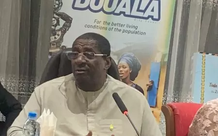Infrastructure routière : une nouvelle voie pour rejoindre les centre-ville et commercial de Douala