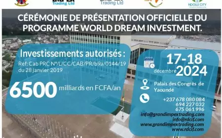 Lancement Officiel de Ndolle City : Le Cameroun S'engage Vers une Ville Écotouristique et Digitale