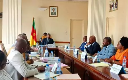 Cameroun : Travail apprécié de la CDHC sur l'Intervention en amicus curiae