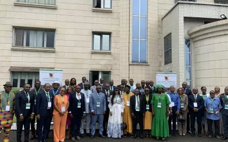 Cameroun / Problématique foncière : la situation en débat à Douala