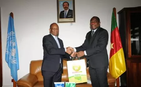 Examen périodique universel des droits de l’homme au Cameroun : la mise en œuvre des dernières recommandations explorées