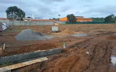 Cameroun / Projet d’usine à Kendeck : comment un investisseur est séquestré