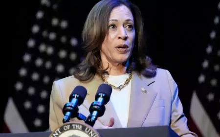 Pourquoi Kamala Harris a perdu les élections. Les analyses de Politico de la réalité dans le camp démocrate