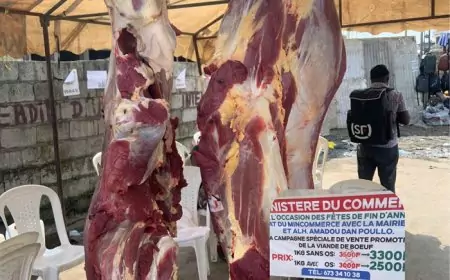 Cameroun / Lutte contre la vie chère : de la viande à prix promo servie à Douala