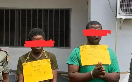 Cameroun / Coup de filet : un gang de bandits dans les mailles de la Brigade de Dibombari