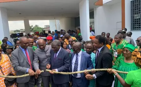 Cameroun / Filière manioc : l’import-substitution se pratique à Douala