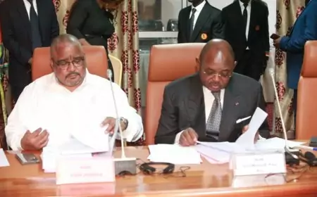 Assemblée Nationale du Cameroun – Session de novembre 2024 : 10 textes sur la table des députes