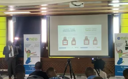 Cameroun / Coût de l’électricité : augmentation ou non du tarif ?