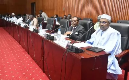 National Assembly - November 2024 ordinary session : Scrutiny Of Bill N° 2065 / PJ/AN And  N° 2072/PJ/AN In Committee.