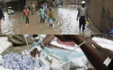 Inondations à l'Extrême-Nord : le choléra refait surface