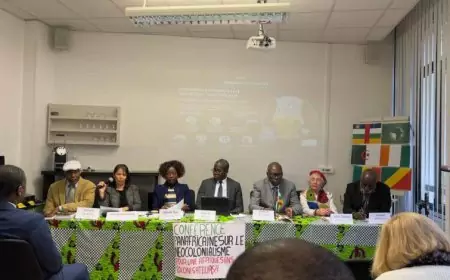 Compte rendu de conférence Panafricaine du samedi 23/11/24 à Paris