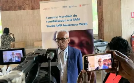 Cameroun / Semaine de sensibilisation à la résistance aux antimicrobiens (RAM) : La mauvaise utilisation des médicaments, une menace mondiale pour la santé publique