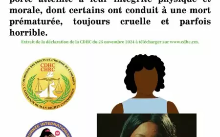 Statement by the CHRC to mark the 25th international day for the elimination of violence against women