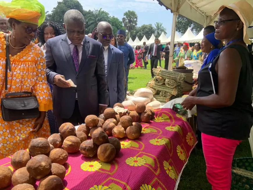 Cameroun / Filière manioc : l’import-substitution se pratique à Douala