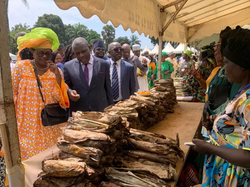 Cameroun / Filière manioc : l’import-substitution se pratique à Douala