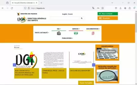 Tout savoir sur la déclaration annuelle des revenus des particuliers au Cameroun
