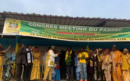 Construction du Cameroun : la situation extrêmement préoccupante au Paddec