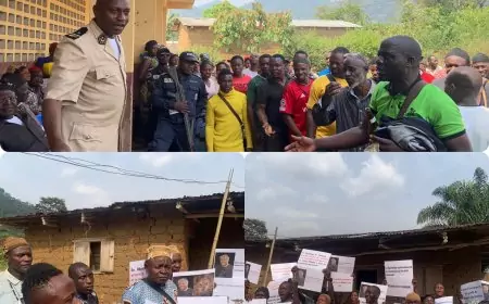 Développement à Santchou : décollage à partir du projet Sanzo industries