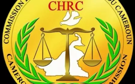 Cameroun : Cri d'alarme du Professeur James Mouangue Kobila sur la prolifération des whiskies en sachet