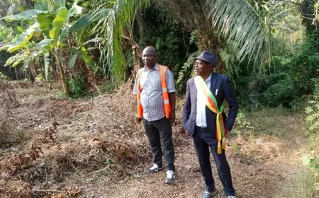 Logements sociaux de la Commune d’Edéa 1er : La nouvelle ville de Mbanda Mikebe bientôt en chantier…