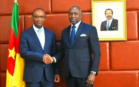 Coopération bilatérale : le Cameroun et la Côte d’Ivoire dans la dynamique de promotion des pme et de l’artisanat
