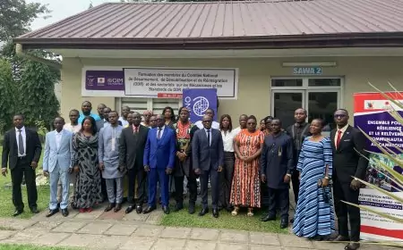 Cameroun / Ex-associés : seniors du Cnddr et sectoriels discutent sur les mécanismes de coordination