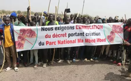 Crise de Guidiguis : Une contestation populaire révélatrice des limites de la gouvernance territoriale au Cameroun