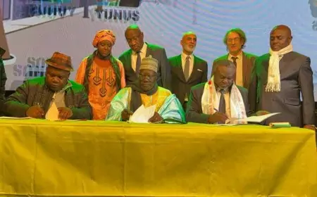 MOUNOUNA FOUTSOU à Bruxelles : le film de la soirée de clôture du mois de la jeunesse camerounaise du vendredi 28 février 2025.