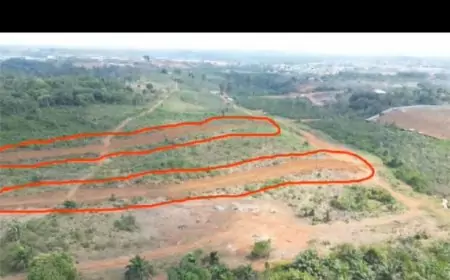 Cameroun : Violences et répression dans le conflit foncier de Kendeck