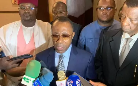 Industrialisation du Cameroun : le minmidt veut y mettre de l’ordre