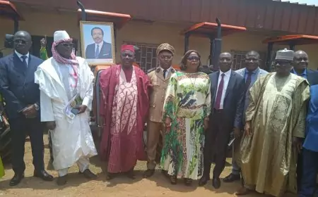 Cameroun - agriculture : Lancement officiel de la campagne annuelle de mécanisation agricole, le CENEEMA se dit prêt à relever le défi de la productivité et de la rentabilité.