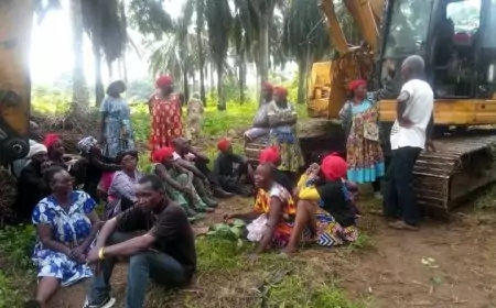 Edéa 1er – Droits des riverains : Le litige entre la SOCAPALM et le village Apouh a la peau dure