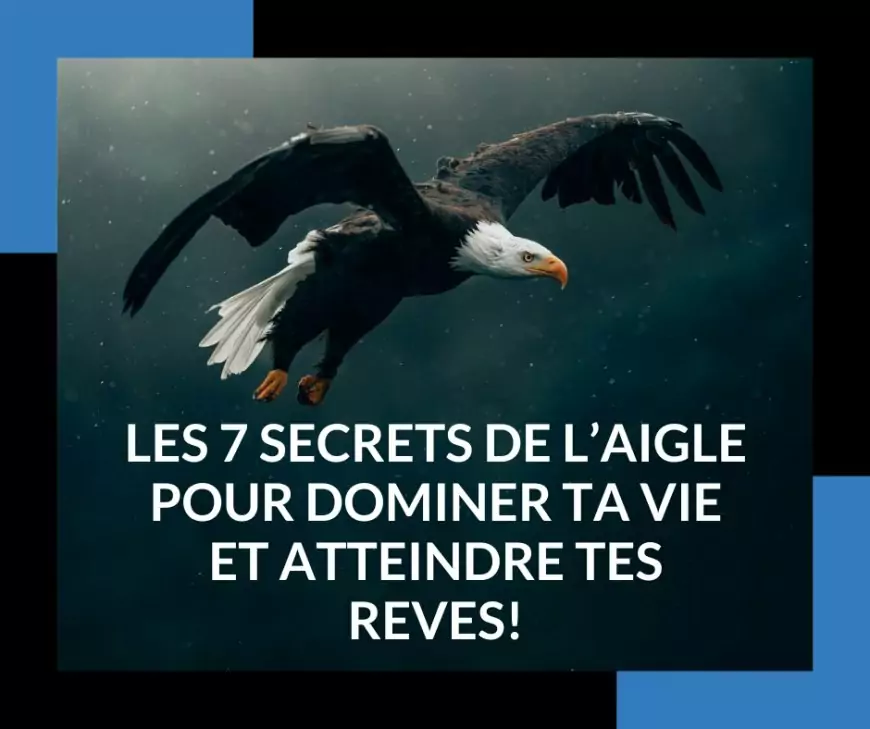 Les 7 secrets de l'aigle pour dominer ta vie et attindre tes reves