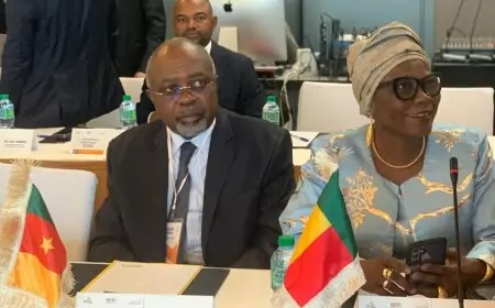 Le Camerounais YAP Abdou, élu 1er Vice-Président de l'Association des Institutions supérieures de contrôle des finances publiques ayant en commun l’usage du Français (AISCCUF)