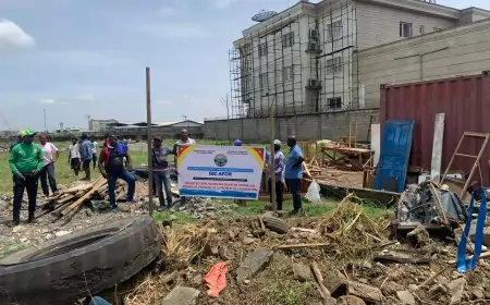 Déprédation foncière au Cameroun : 7 525m2 de Youpwè revendiqués au PAD