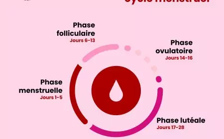 Le Cycle Menstruel : cette telenovela mensuelle qu’on n’a jamais signée !