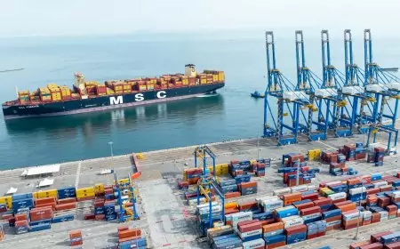 Le Port de Kribi muscle ses capacités : chronique d’un port qui change d’échelle