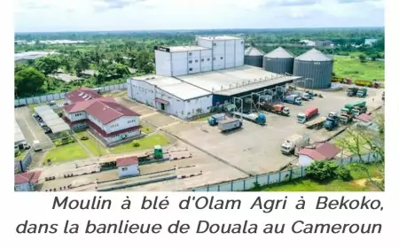 Céréales : le Groupe Olam Agri célèbre ses 30 ans au Cameroun