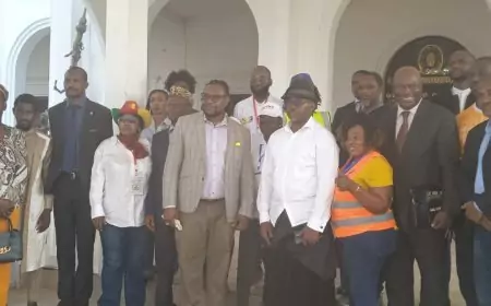53ème  édition de la Fête nationale de l'unité : La diaspora camerounaise au cœur du développement