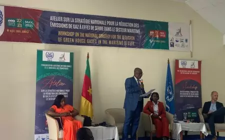 Cameroun : l’OMI et le ministère des transports travaillent ensemble pour une stratégie nationale de réduction des GES dans le milieu maritime