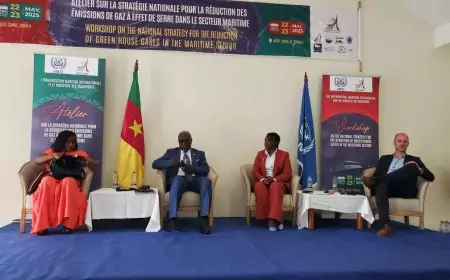 Maritime: Ongoing workshop on the National Strategy for the Reduction of Greenhouse Gases (GHG) in the maritime sector.