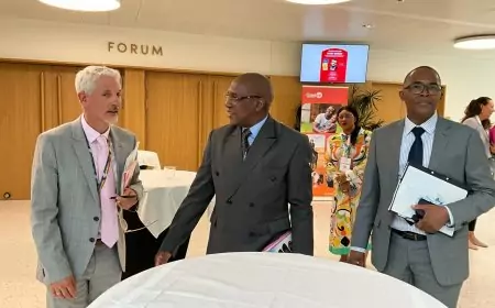 Fight against HIV, Tuberculosis, and Malaria: Cameroon Faces New Challenges in International Funding