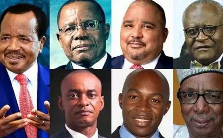 Presidential Elections 2025: Survey Reveals What Cameroonians Really Want from Their Next President